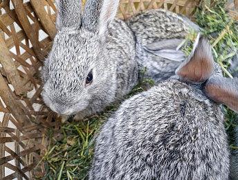 新年史低特惠！《极限竞速：地平线5》顶级版平史低4.5折！